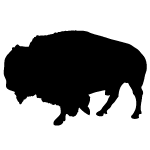 Bison 2