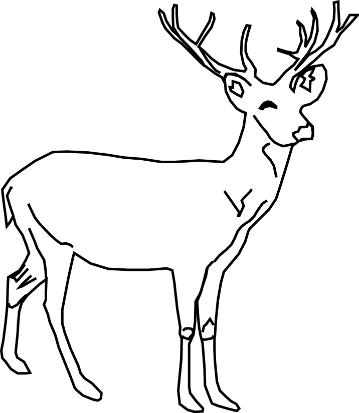 Deer