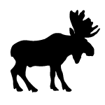 Moose