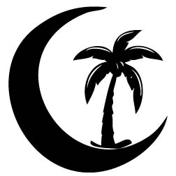 Palm Tree In Moon