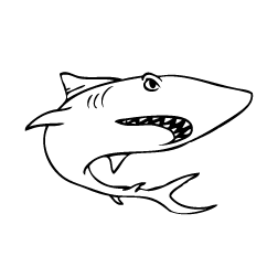 Shark 3