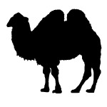 Camel 2